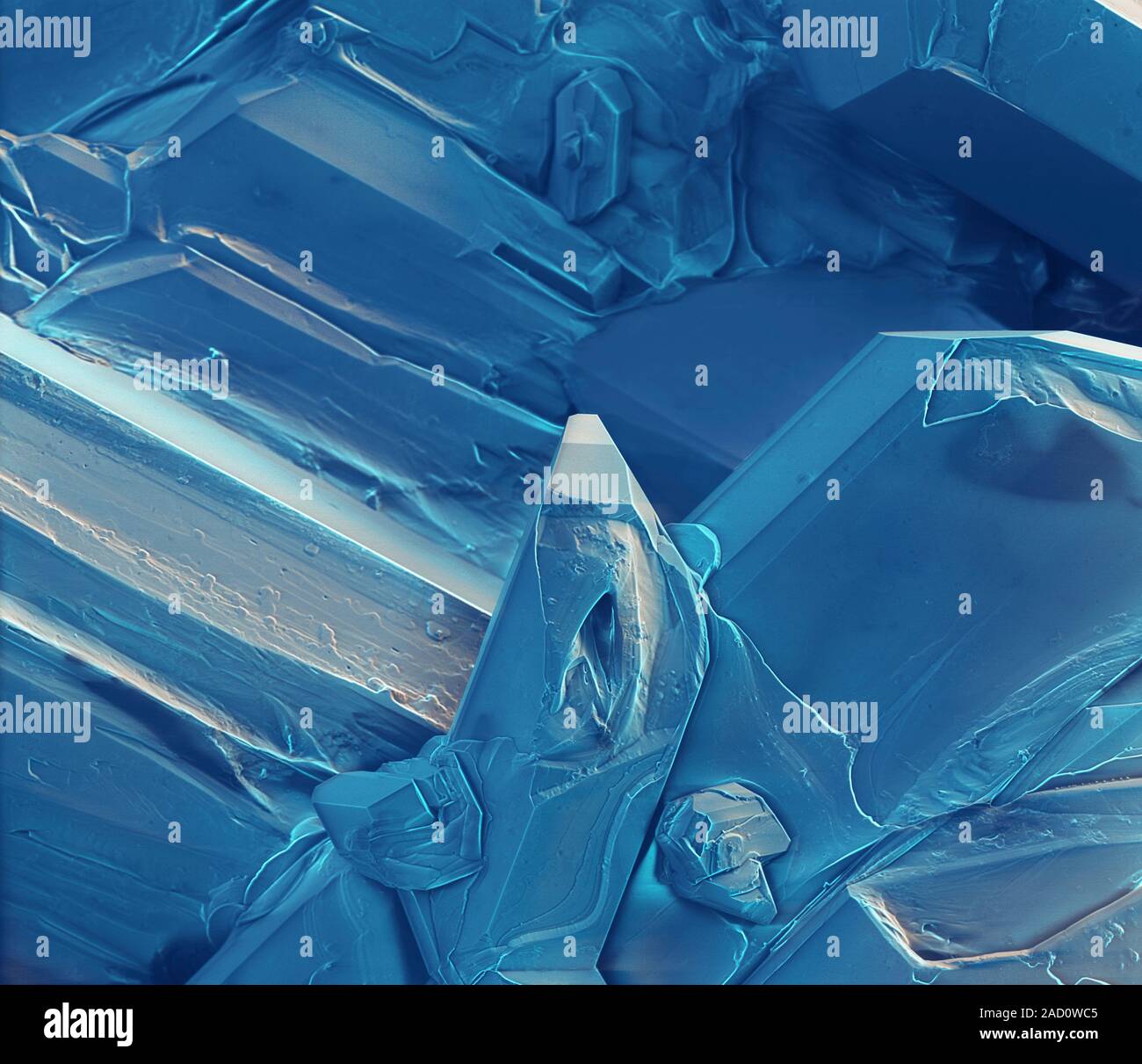 Hydrated copper (II) sulphate crystals, coloured scanning electron