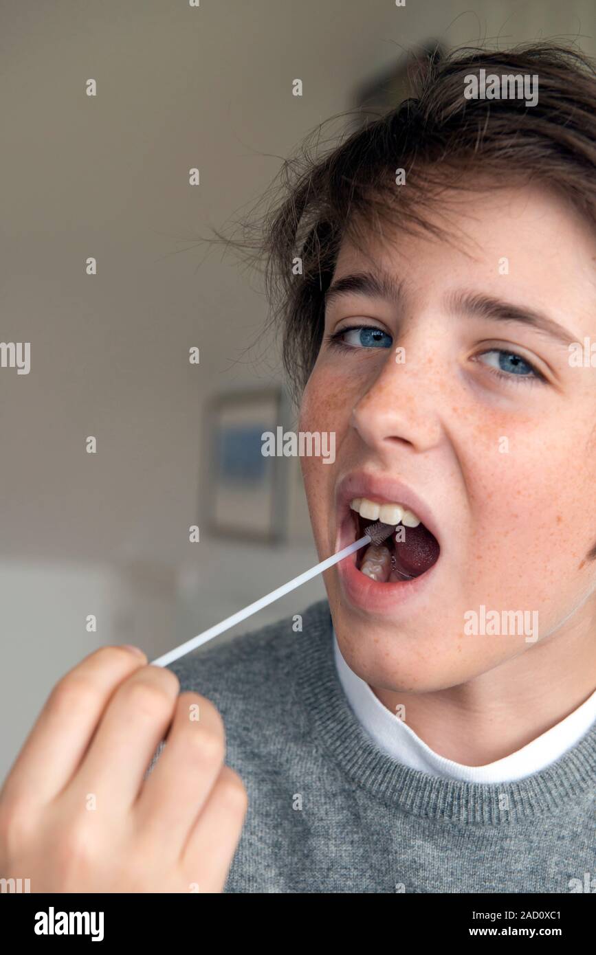 DNA extraction experiment. Teenage boy using a buccal swab to obtain