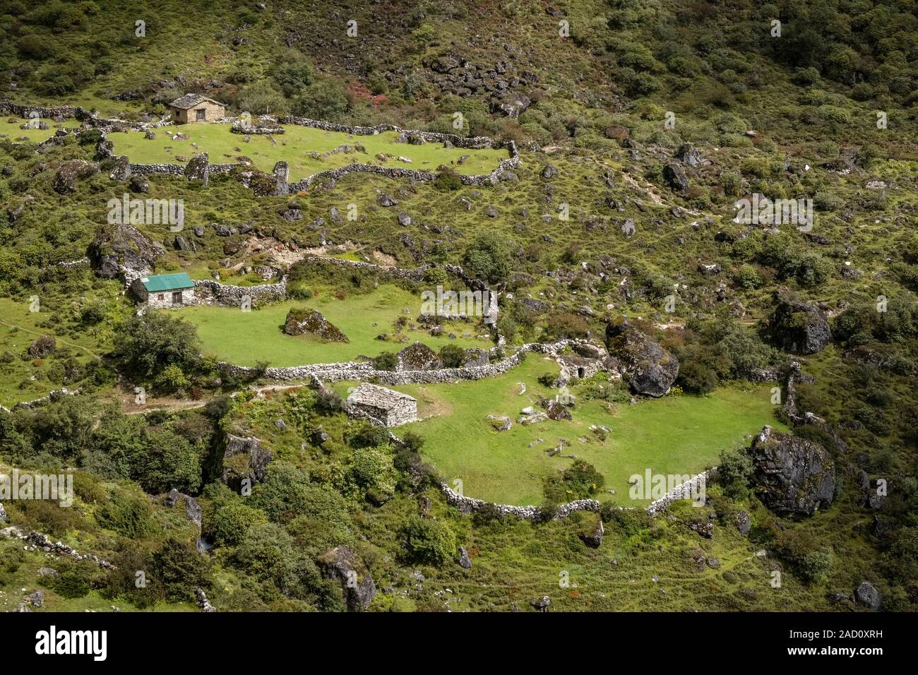 Farmers houses, surrounding fields framed by stone walls, located in Gokyo valley Stock Photo