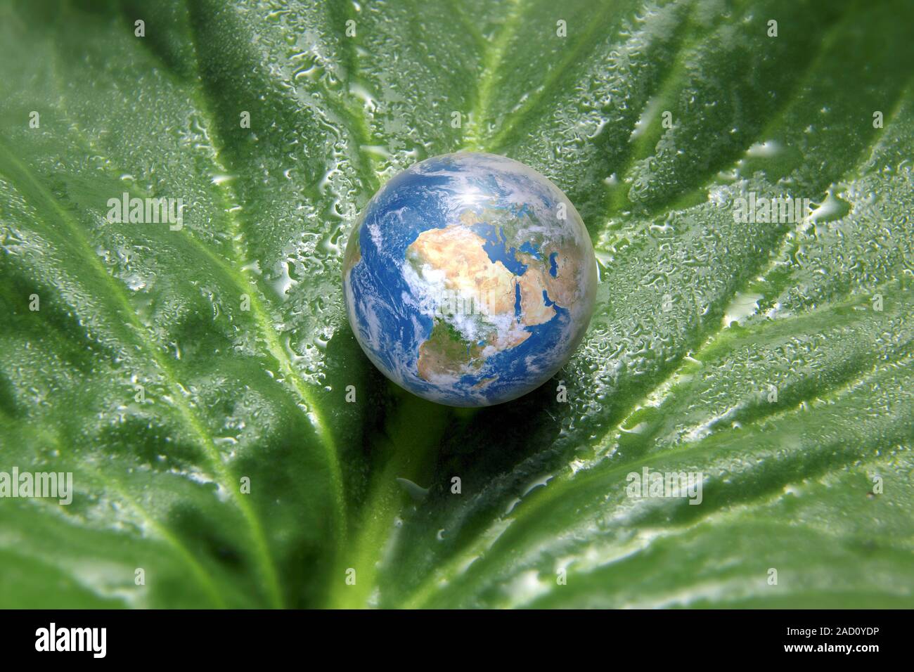 Earth and nature, conceptual image. Stock Photo