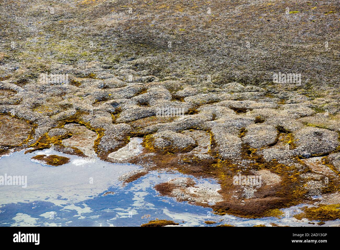 Patterned ground and stone circles formed above permafrost in the high ...