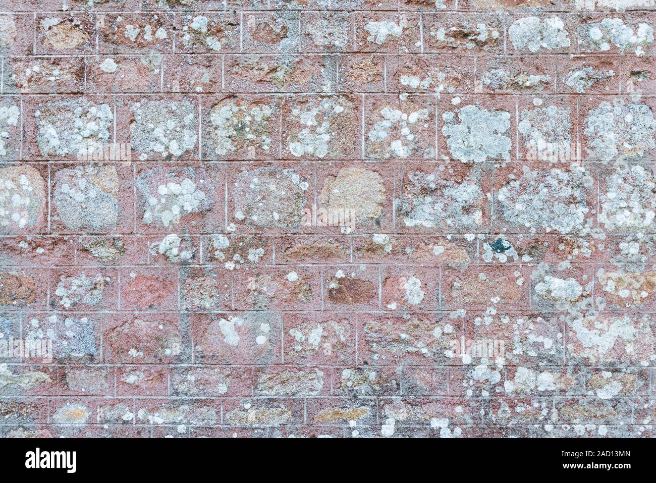 Old wall texture Stock Photo