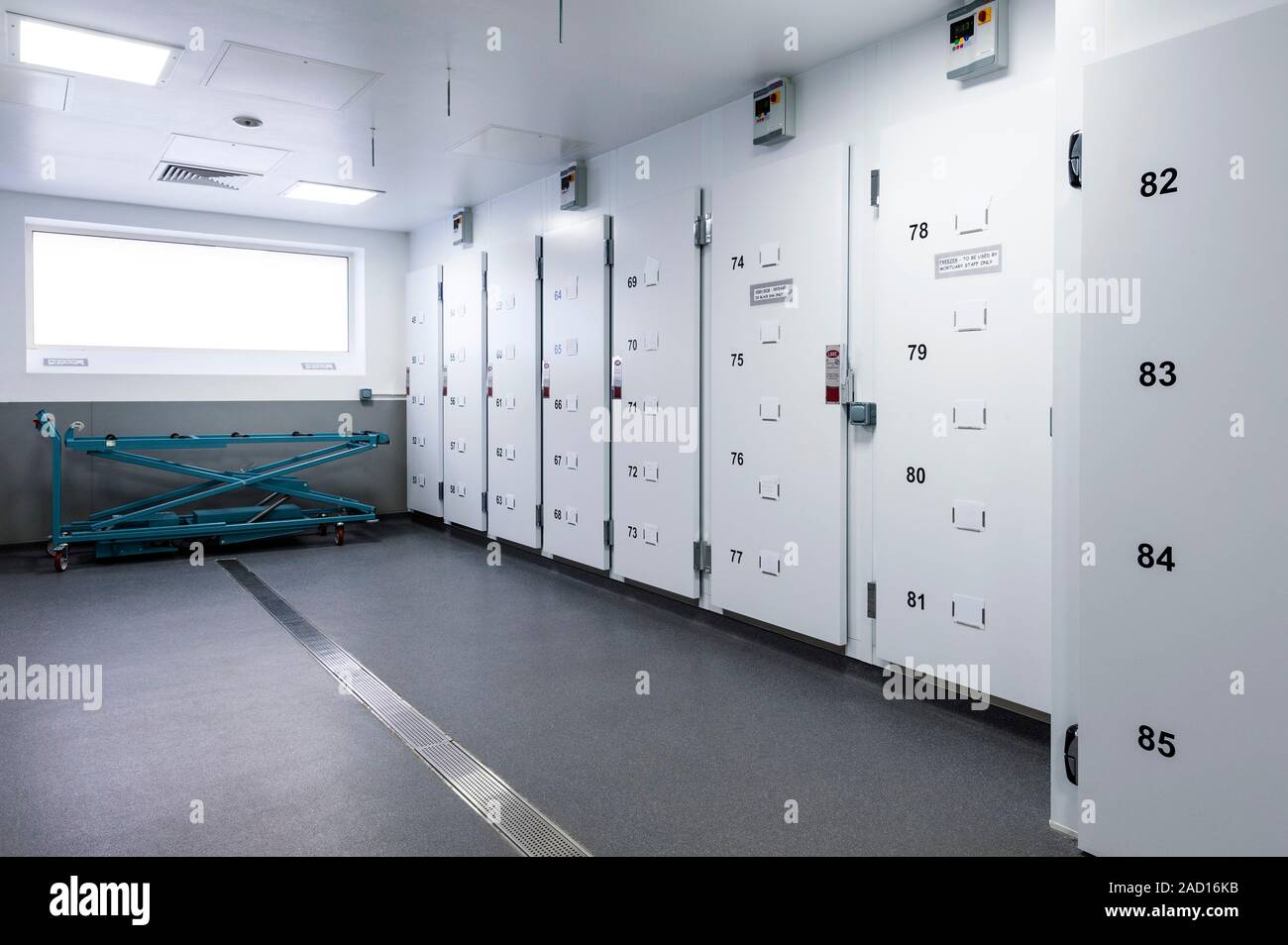 morgue Morgue storage area. Cadaver storage area in a hospital morgue or mortuary.  This is where dead bodies (cadavers) are stored in refrigerated units befo  Stock Photo - Alamy