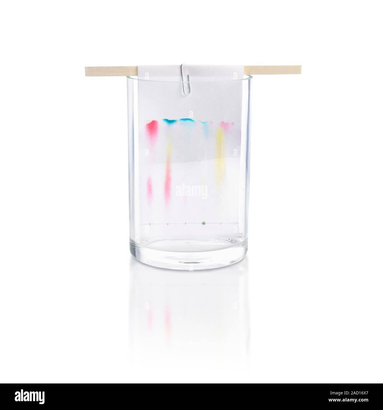 Paper chromatography. Coloured streaks left by different colour inks in