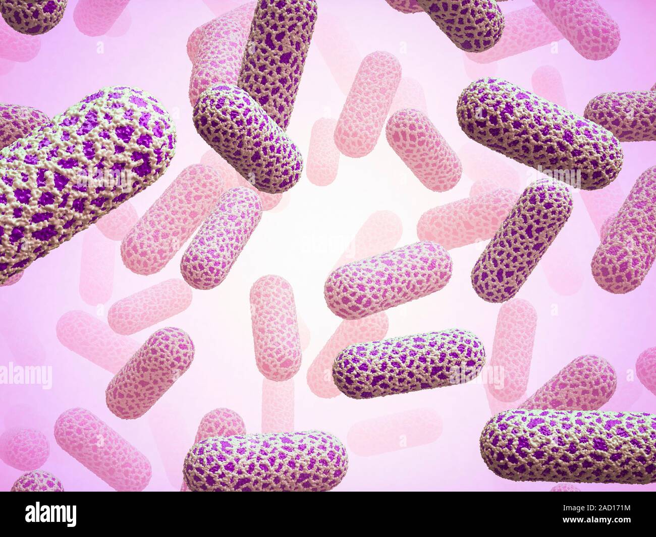 E Coli Bacteria Computer Illustration Of Escherichia Coli Bacteria E Coli Are Gram Negative