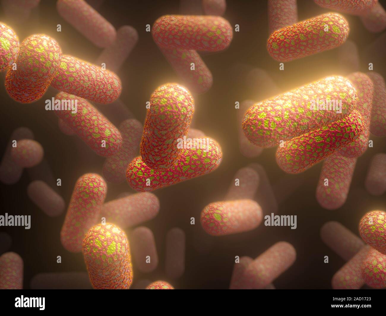 Бацилы. Биопленка Escherichia coli. Бактерии арт. Микроорганизмы арт. Белки микроорганизмов.