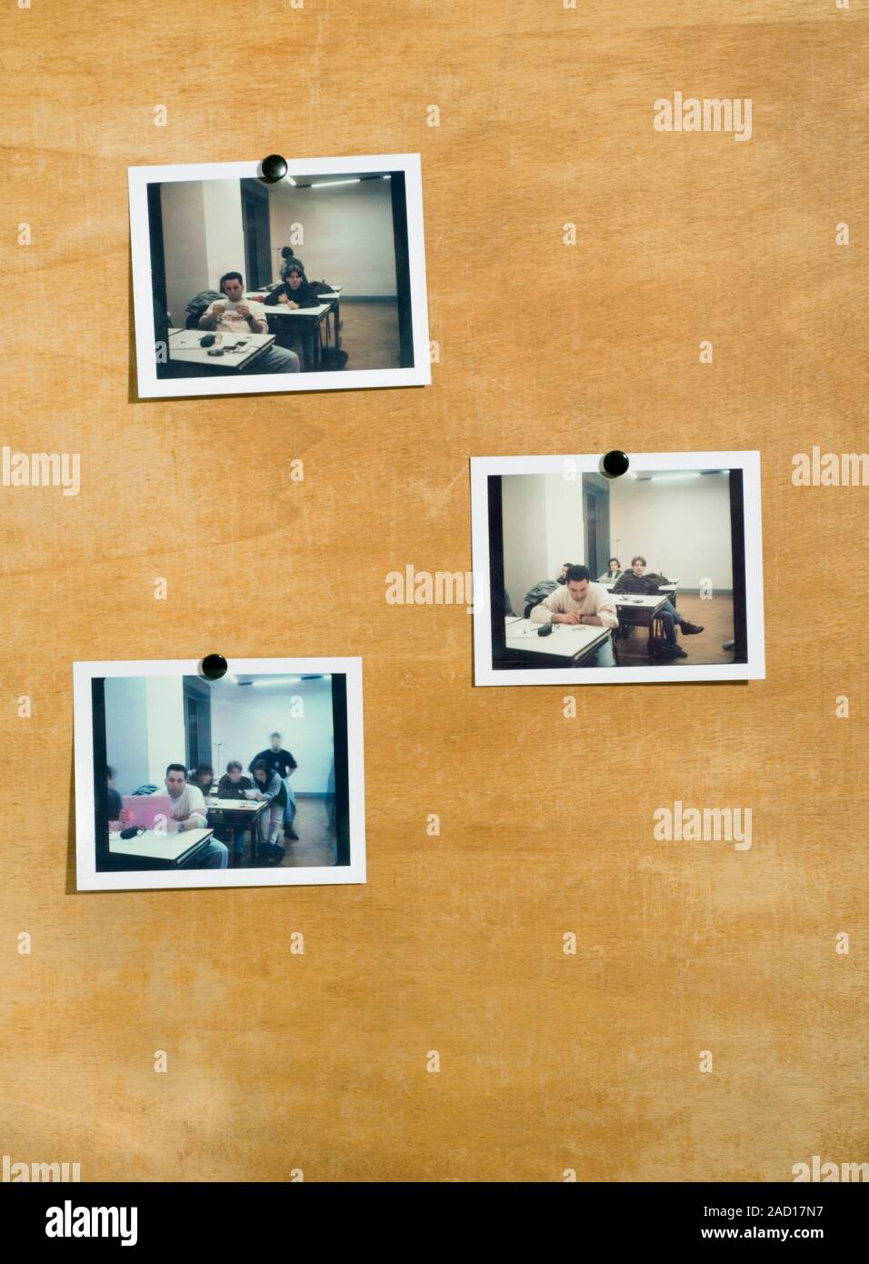 school memories polaroid photos pinned to wooden wall Stock Photo