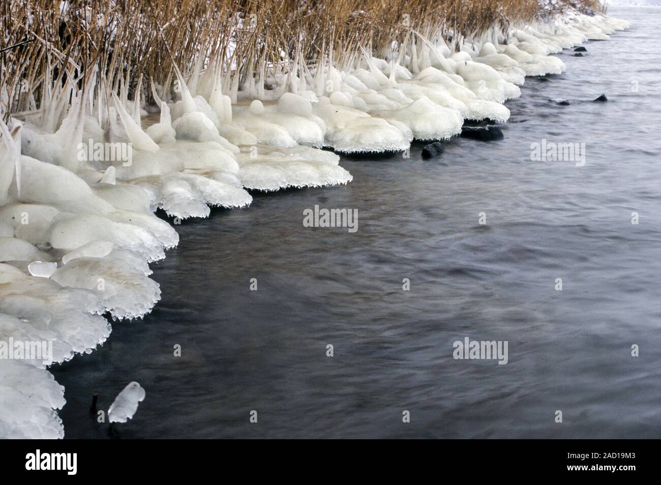 Ice structures at riverbank / North Sea-Baltic Sea-Canal  - Schleswig-Holstein Stock Photo