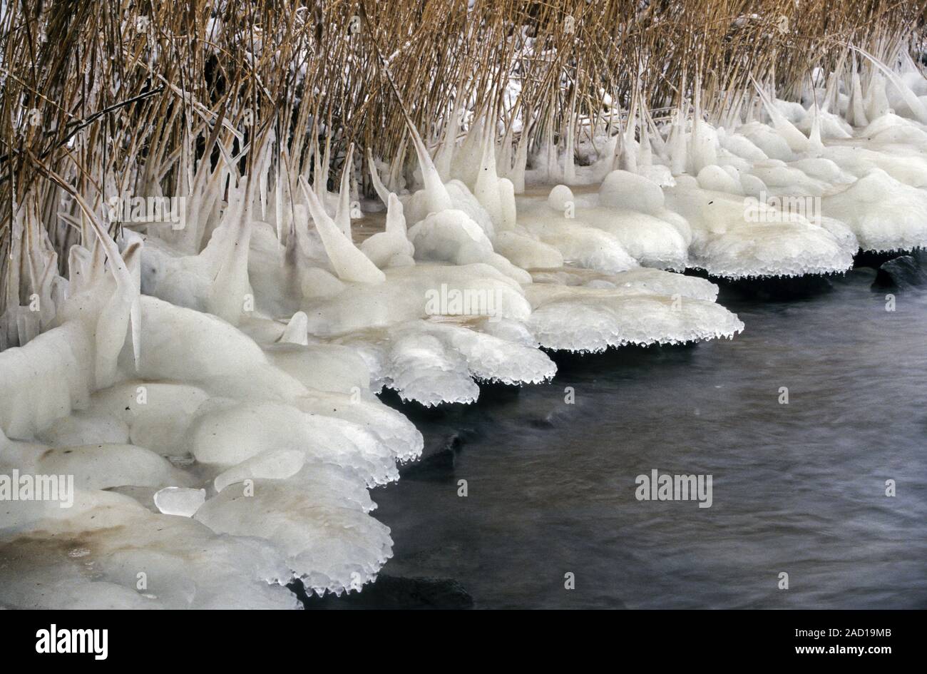 Ice structures at riverbank / North Sea-Baltic Sea-Canal  - Schleswig-Holstein Stock Photo