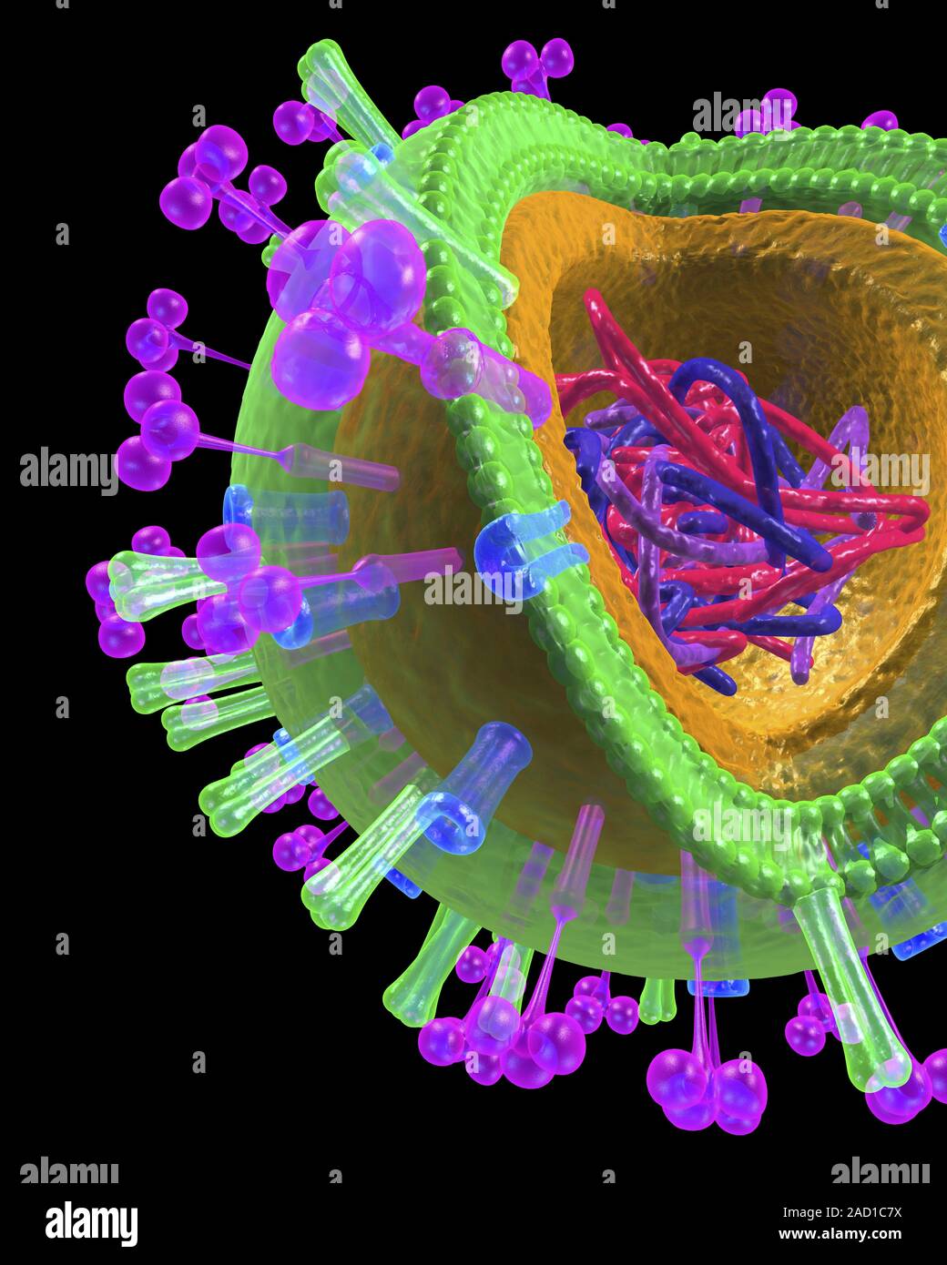 Токсины вируса. Токсины вируса. Антитела в микроскопе. Реакция нейтрализации вирусов микробиология. Токсины в организме.