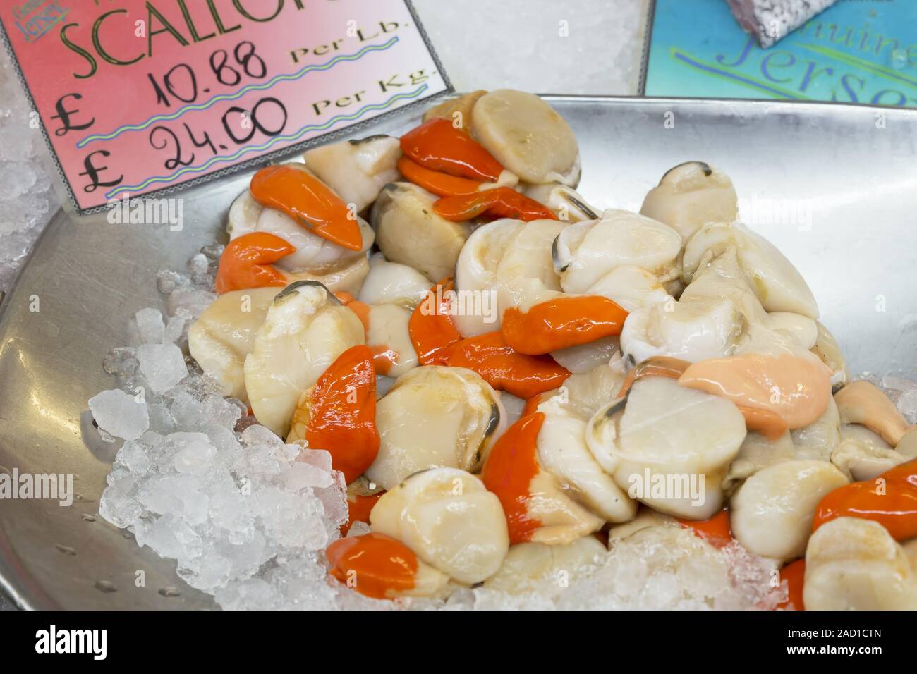 Fresh scallops at a market Stock Photo Alamy