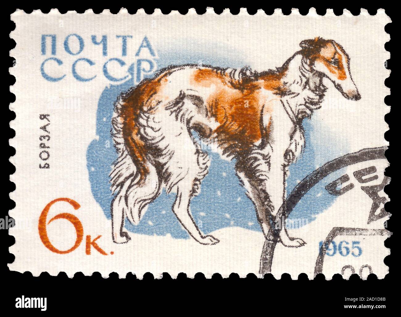 Soviet Union (SSSR) Russia - circa 1965. Postage stamp printed in Soviet Union and part of a series depicting dogs in Soviet Union. Circa 1965 Stock Photo
