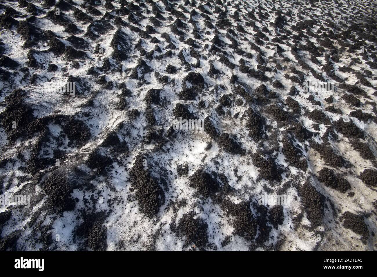 Black snow 2. Direct allegory of human pollution of the Earth. Concept of combining opposite Stock Photo