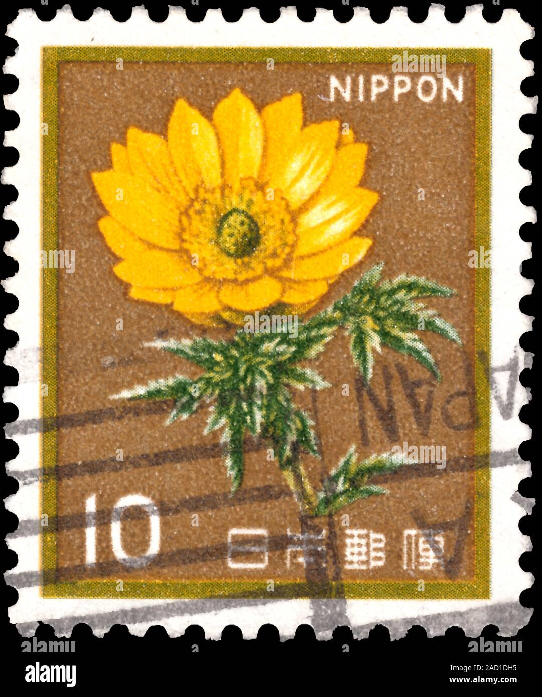 APAN - CIRCA 1980: a stamp printed in the Japan shows White Trumpet Lily, Lilium Longiflorum, Adonis amurensis, Flower, circa 1980 Stock Photo