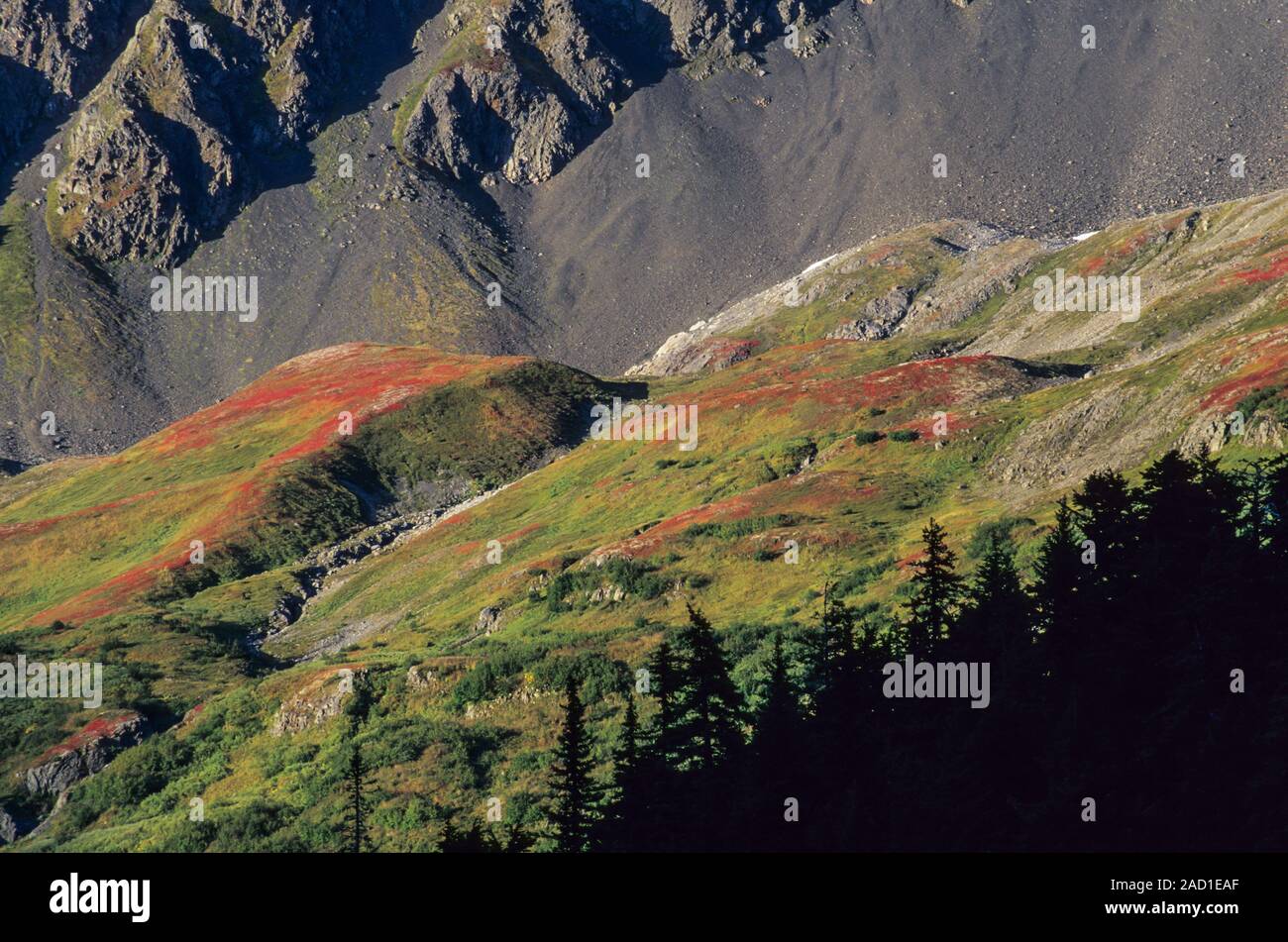 Peninsula of kenai hi-res stock photography and images - Alamy