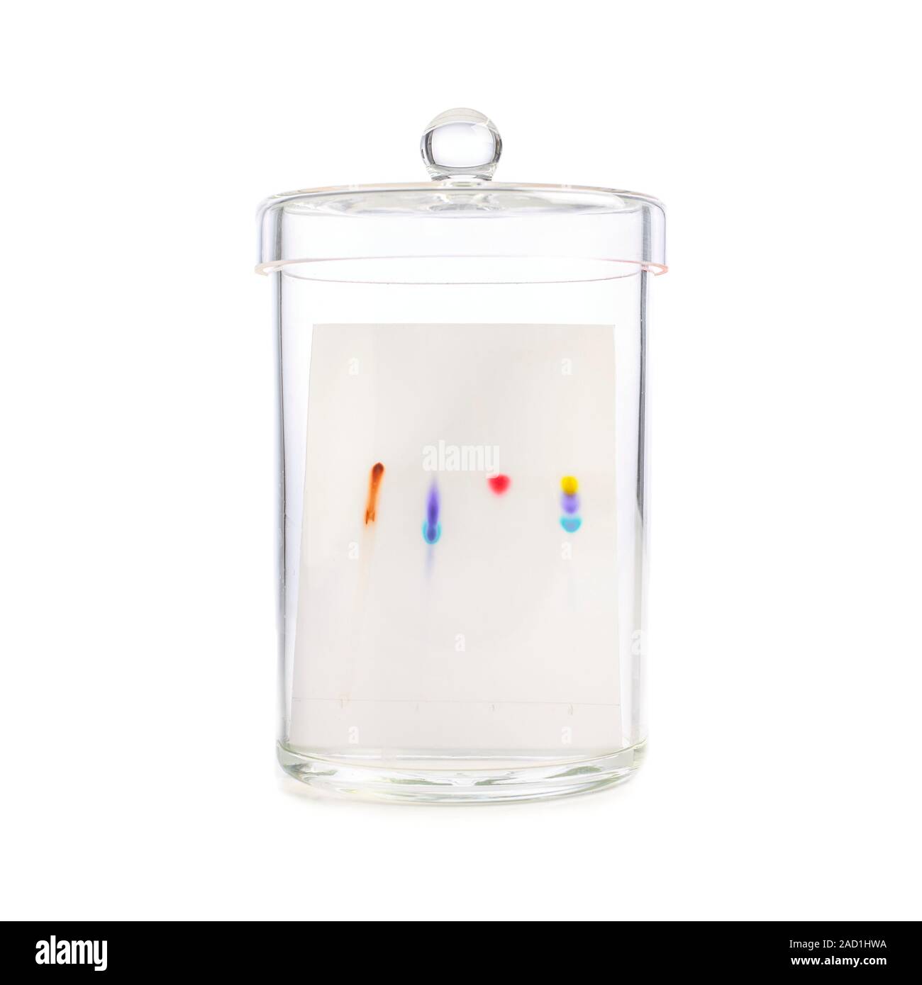 Paper chromatography. Coloured streaks left by different colour inks in a paper chromatography
