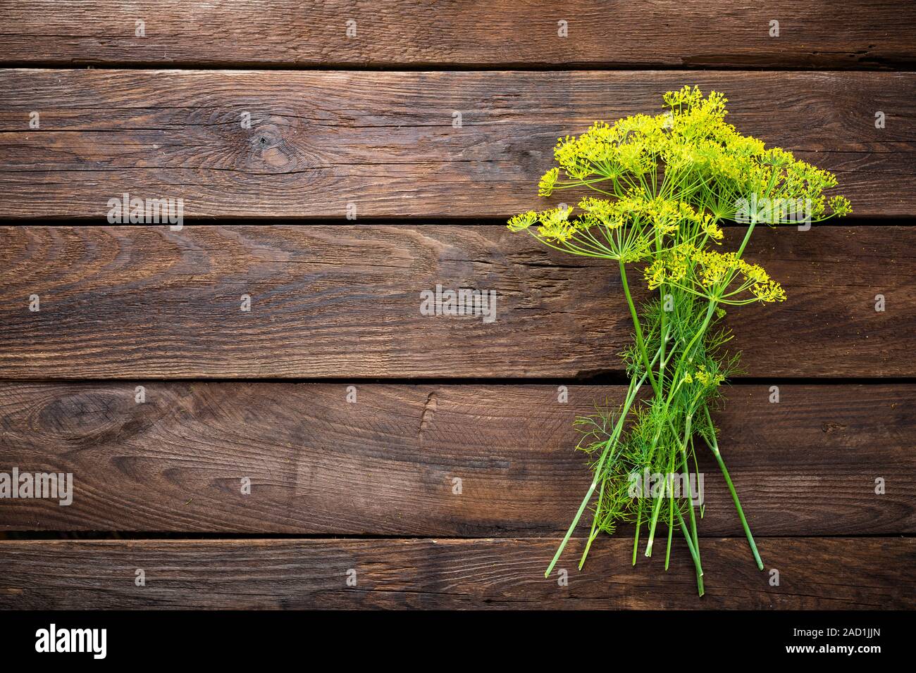 Umbrella dill hires stock photography and images Alamy