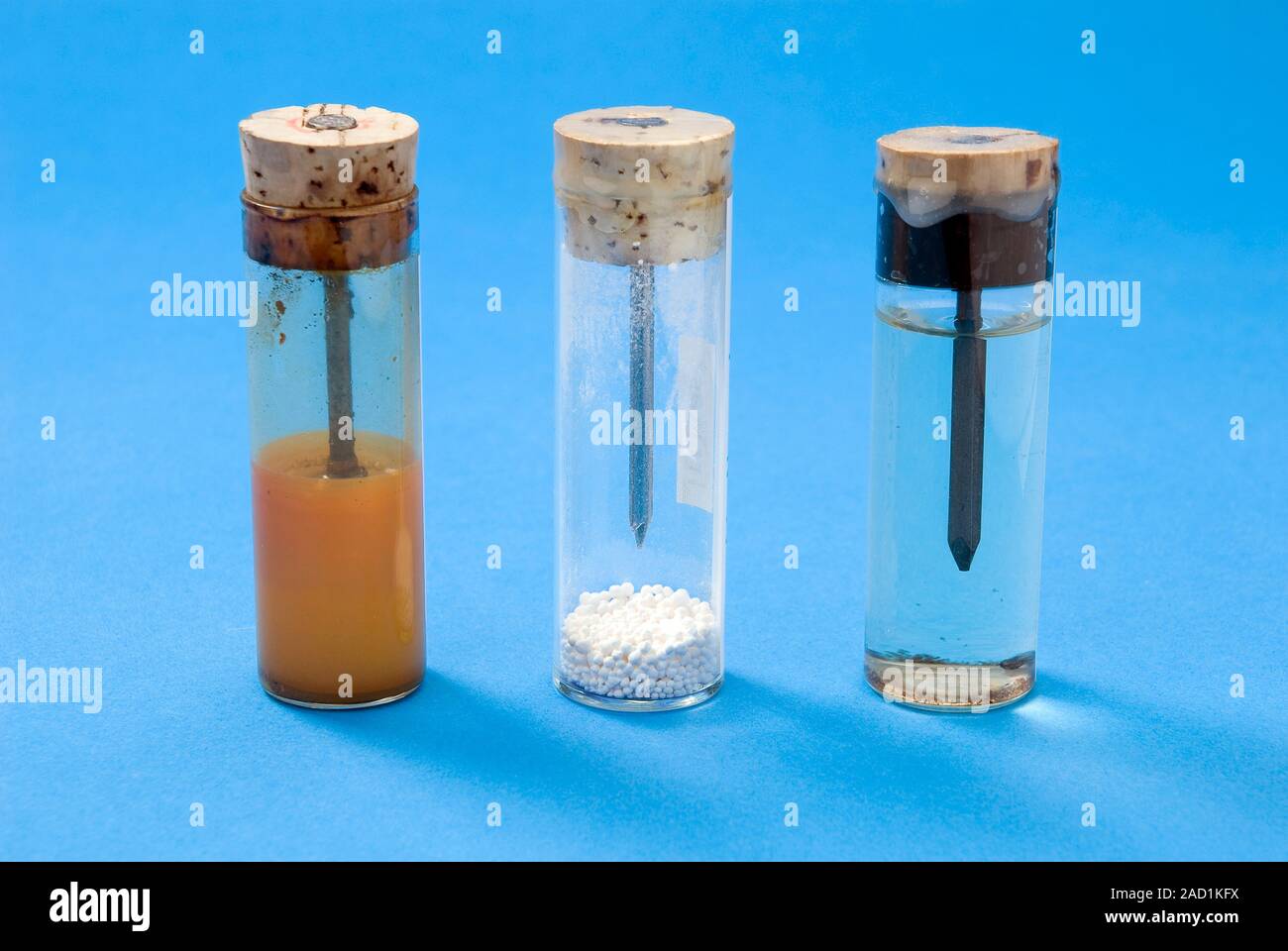 Corrosion of iron demonstration. Iron nails in sealed test tubes