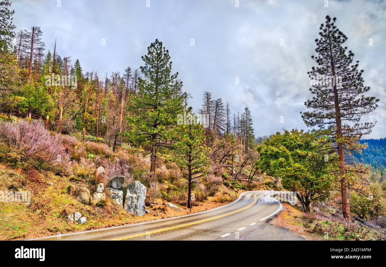 Wawona road hires stock photography and images Alamy