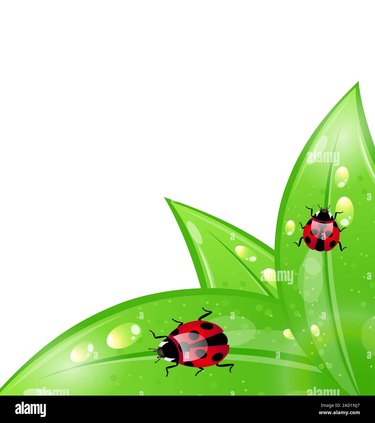 Ecology background with ladybugs on leaves Stock Photo - Alamy