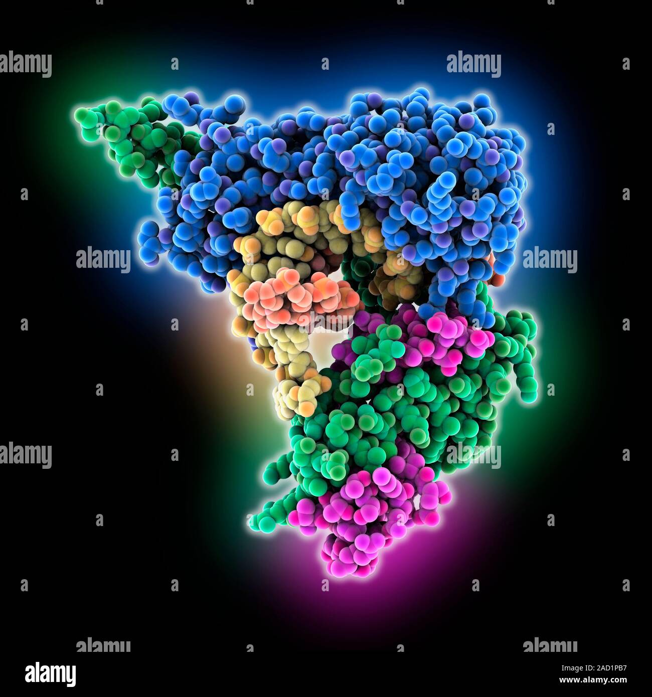 Transcription regulator molecule. Molecular model of the transcription ...