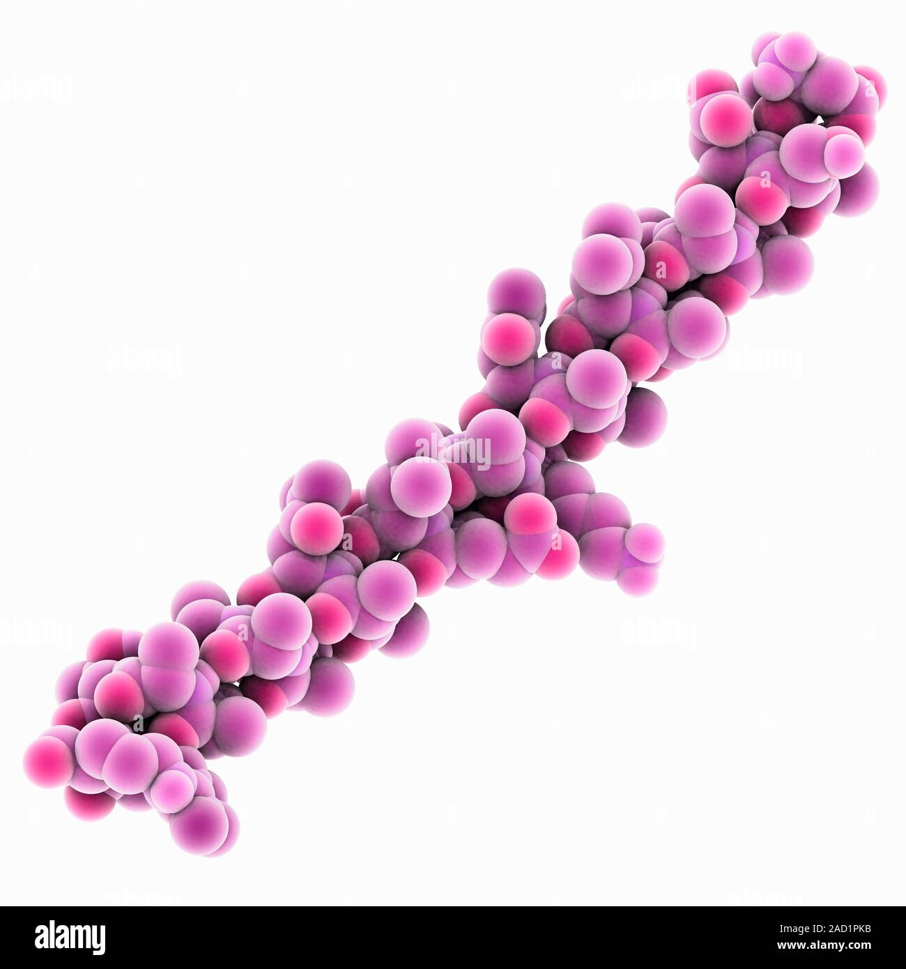 Fish antifreeze protein. Molecular model of a fish antifreeze protein ...