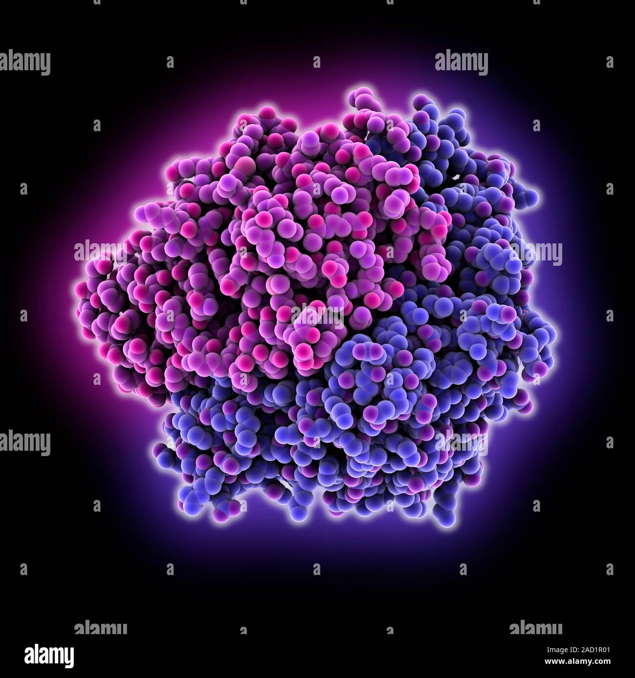 NiFe hydrogenase, molecule model. Hydrogenase enzymes catalyse the