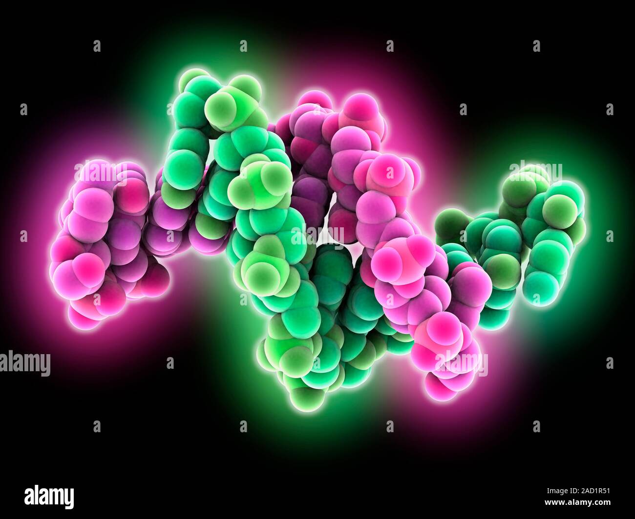 Synthetic DNA. Molecule model of a synthetic form of DNA