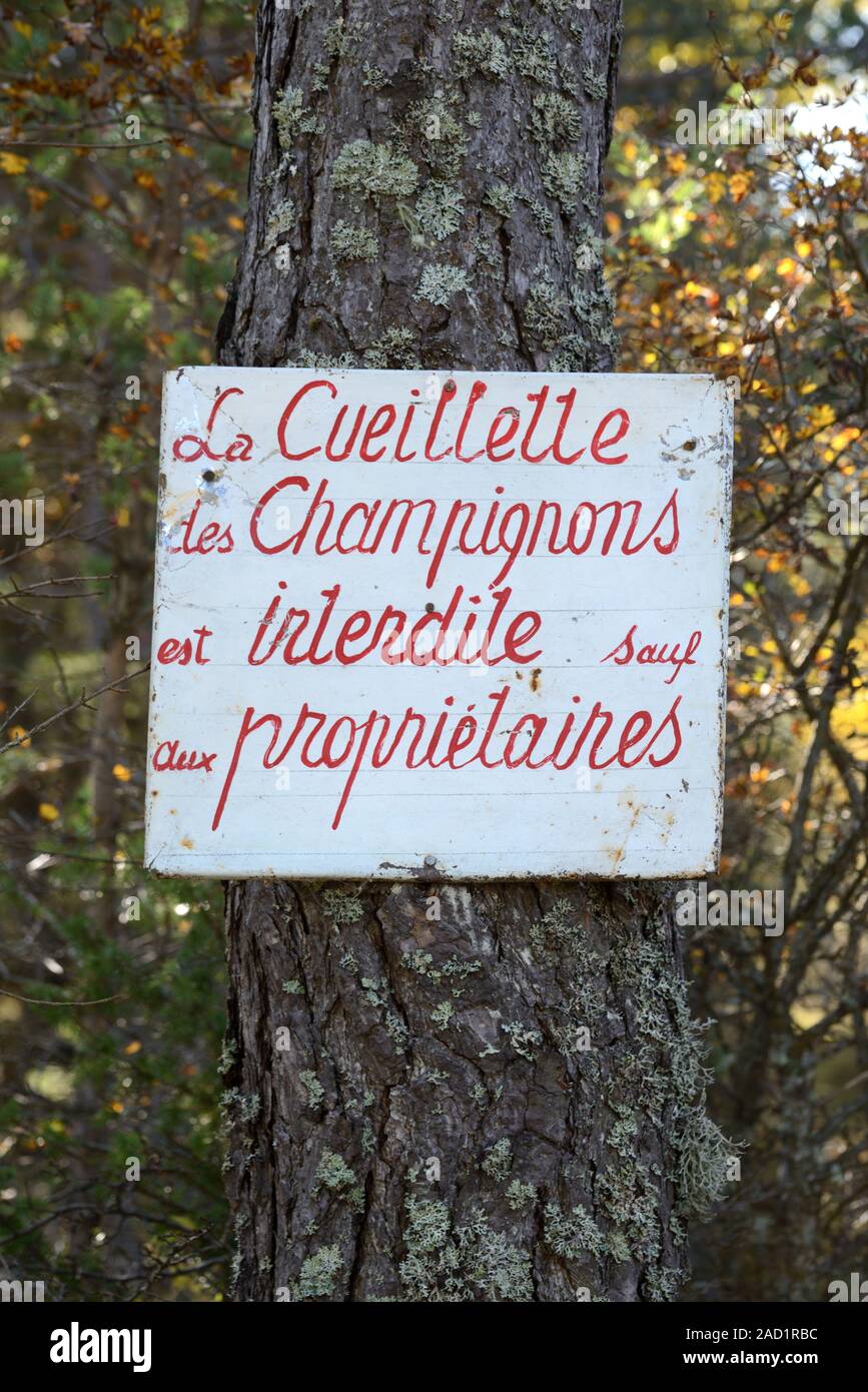 Signpost Forbidding Mushroom Picking, Mushroom Gathering, Mushroom Hunting or Mushroom Foraging Provence France Stock Photo