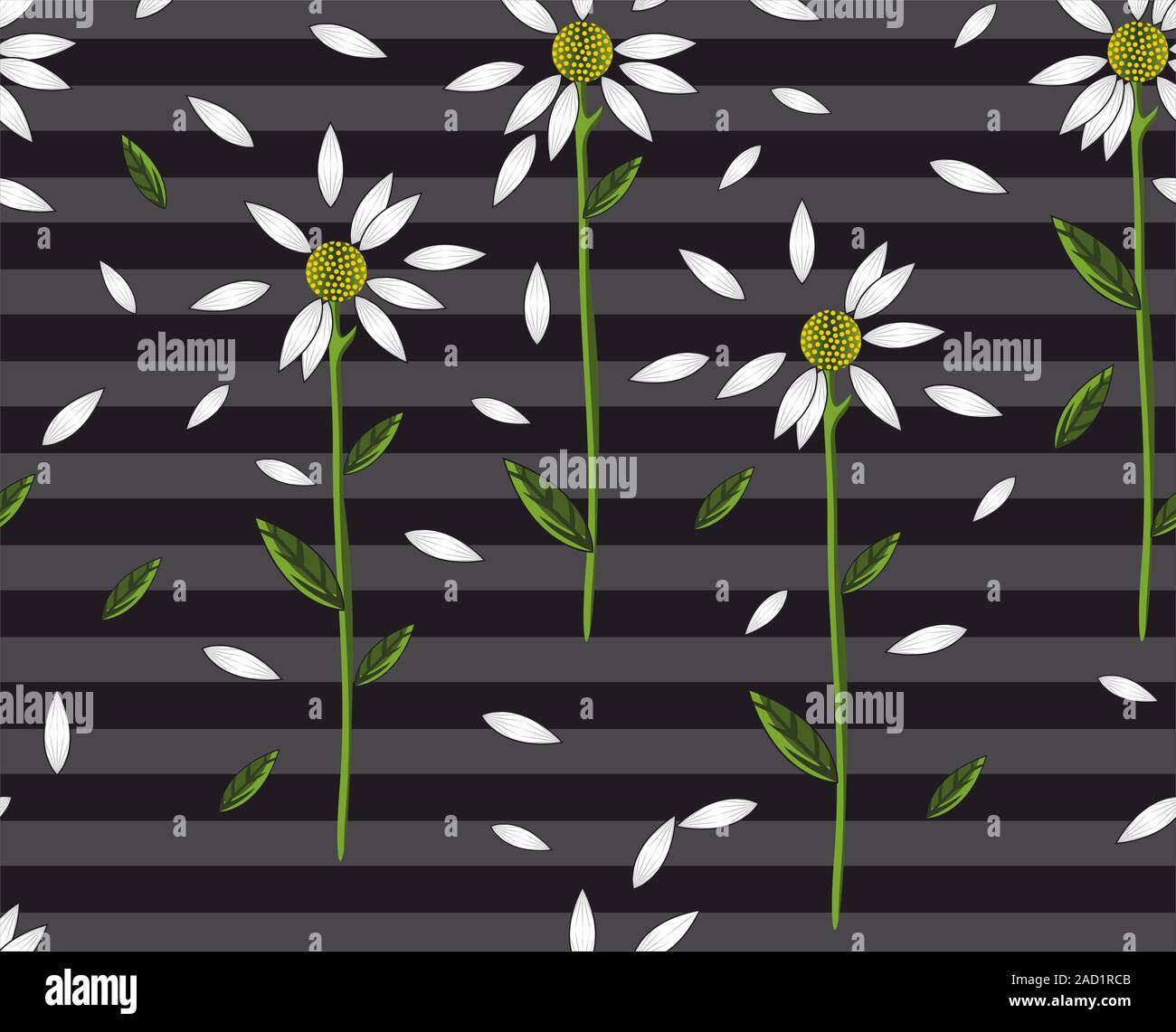 Seamless daisy pattern on grey stripes and black background. White flowers print for fabric. - vector Stock Vector