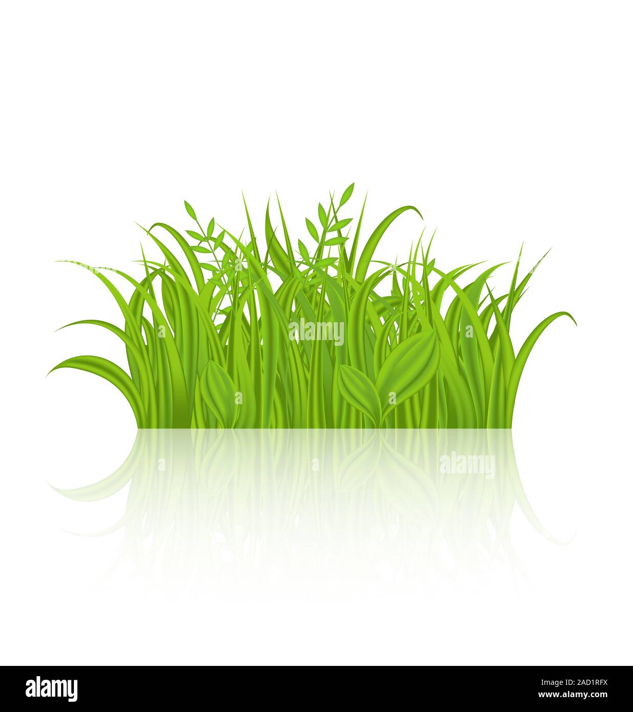 Green grass with reflection isolated on white background Stock Photo ...