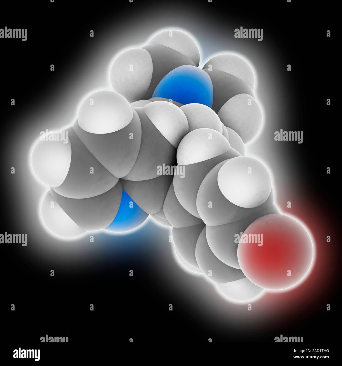 Brompheniramine. Molecular model of the antihistamine drug