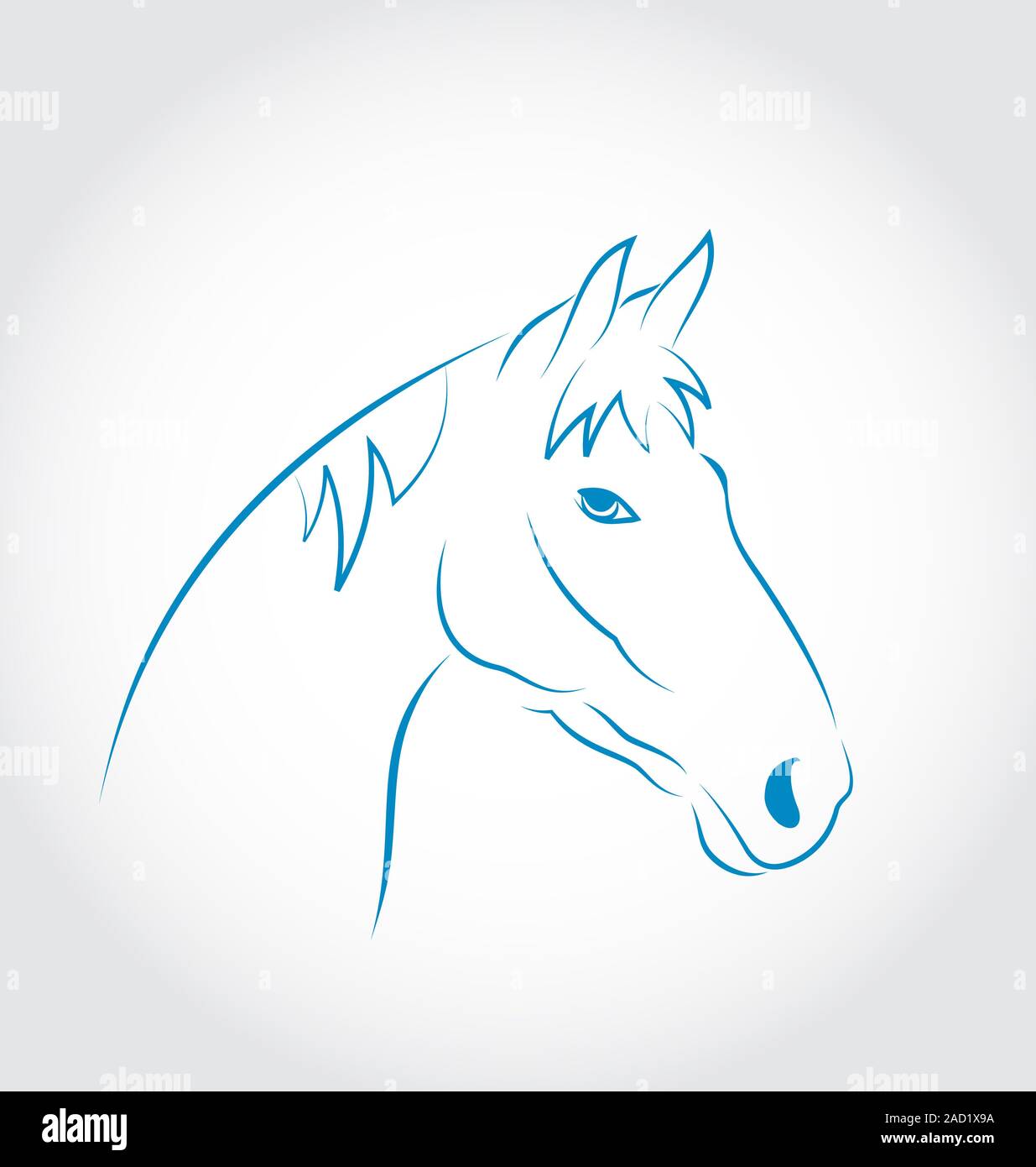 Hand drawn head horse isolated on white background Stock Photo - Alamy