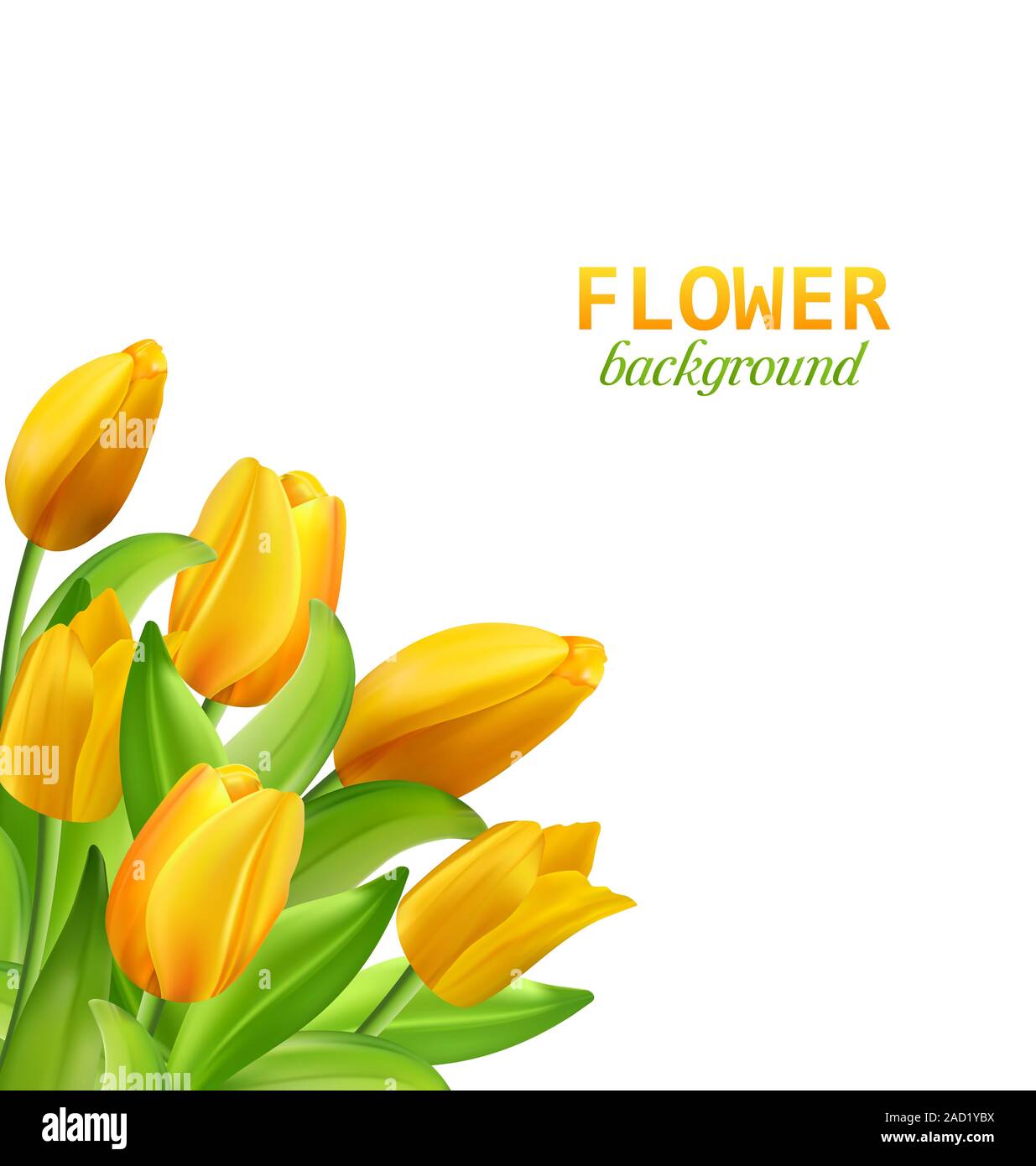 Spring Natural Bouquet with Yellow Tulips Flowers Isolated Stock Photo ...