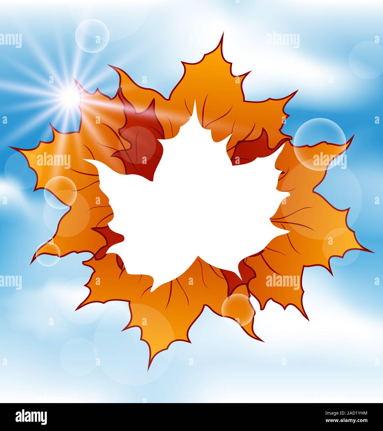 Autumn leaves maple with copy space Stock Photo - Alamy