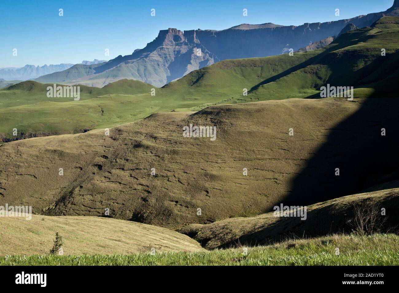 Drakensberg Amphitheatre. View over the Royal Natal National Park ...