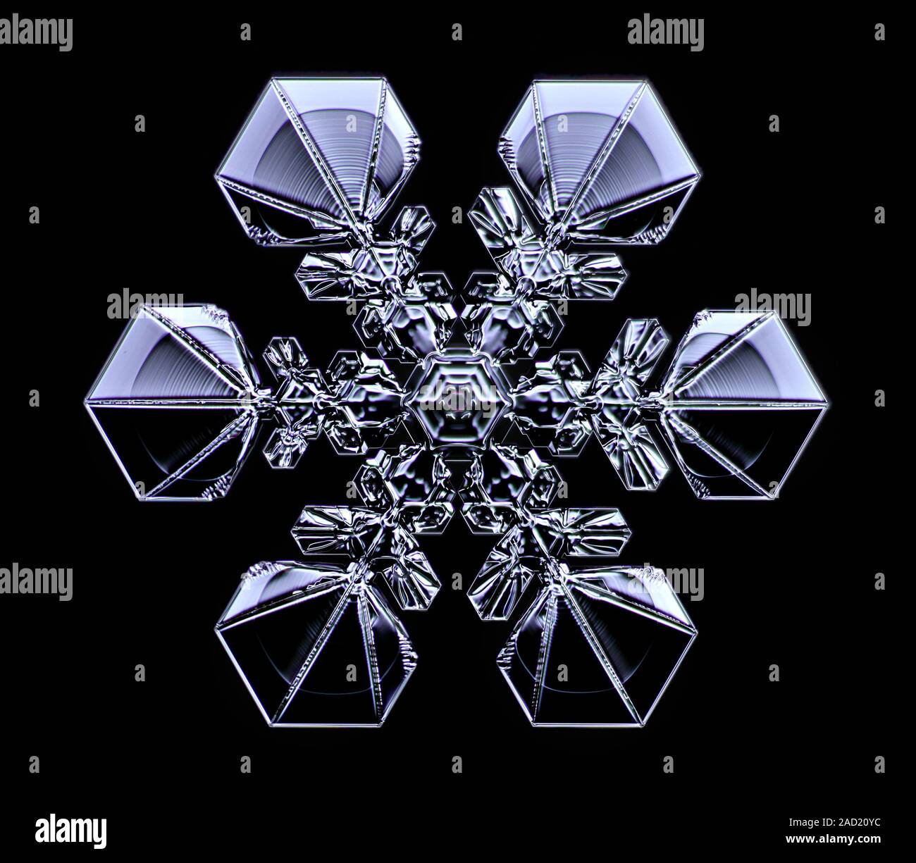 Snowflake. Light micrograph of a sectored plate snowflake. Snowflakes ...