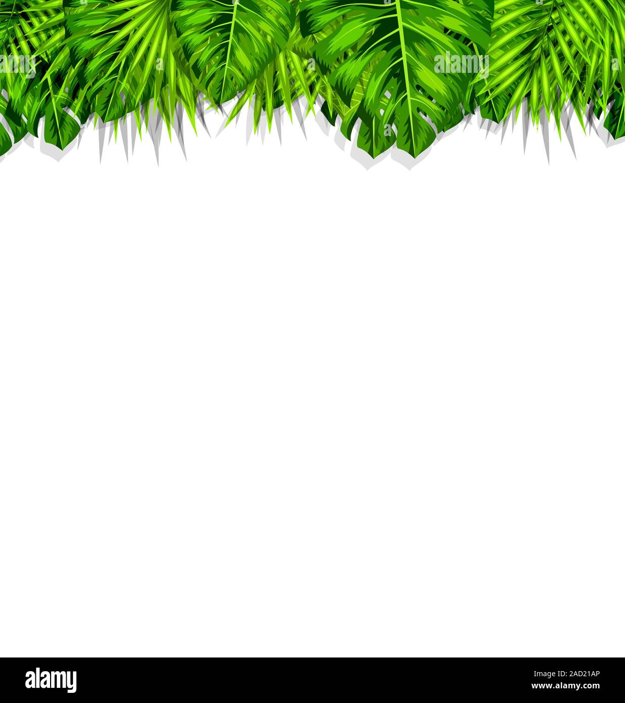 Frame Tropical Leaves Summer Background Stock Photo - Alamy