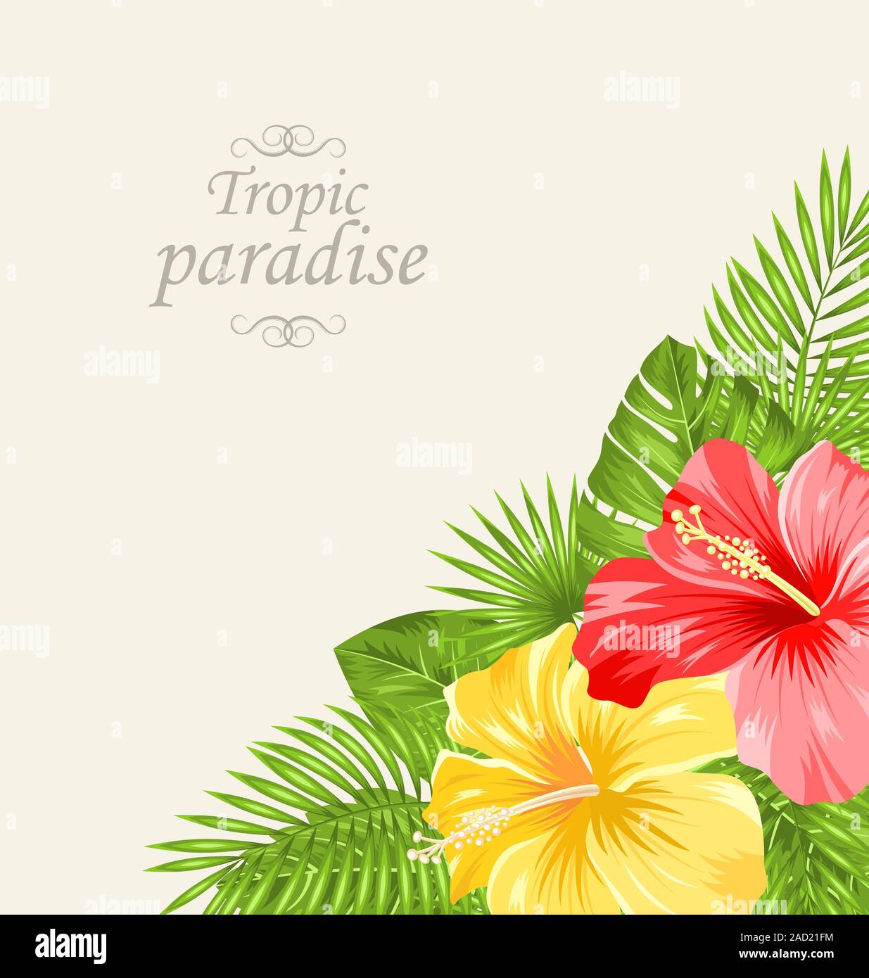 Vintage Greeting Card with Colorful Roses Mallow Stock Photo Alamy