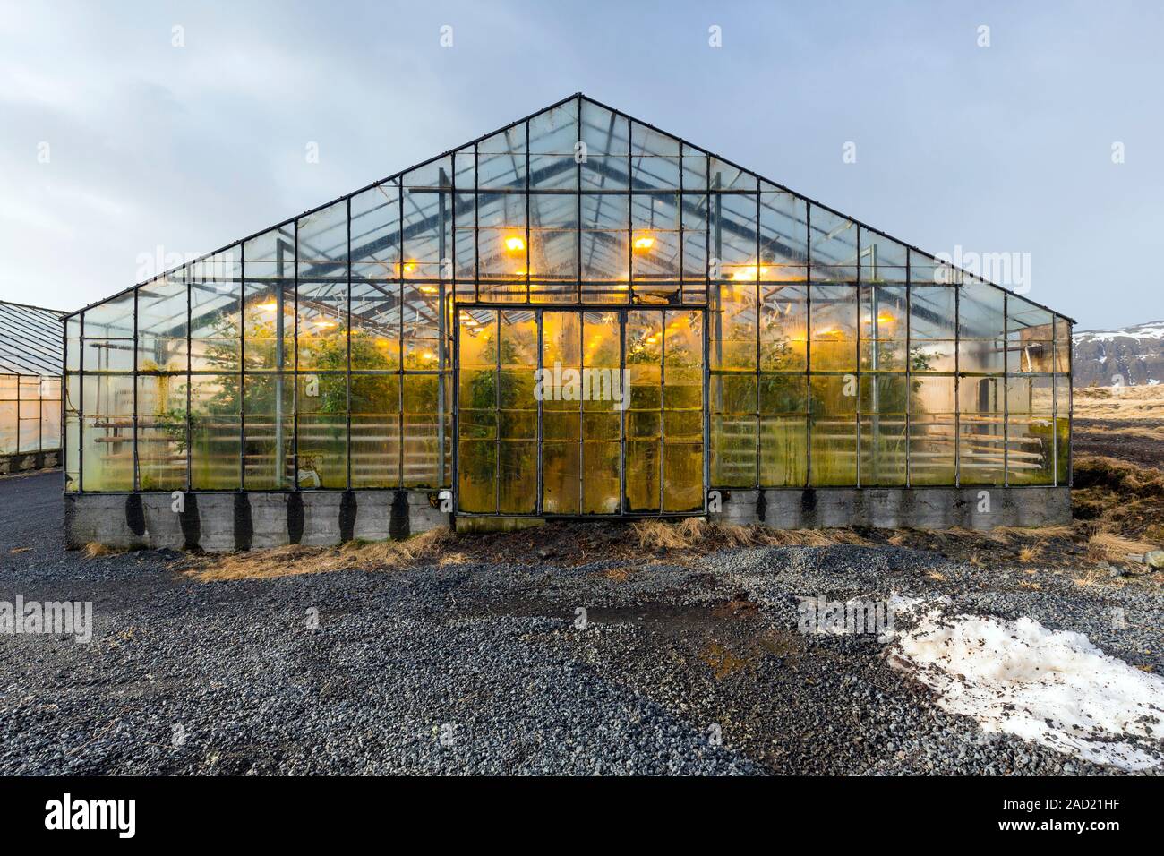 A greenhouse is heated with geothermal energy in Hveragerdi in south-western Iceland. Hveragerdi has many hot springs which are used to heat buildings Stock Photo