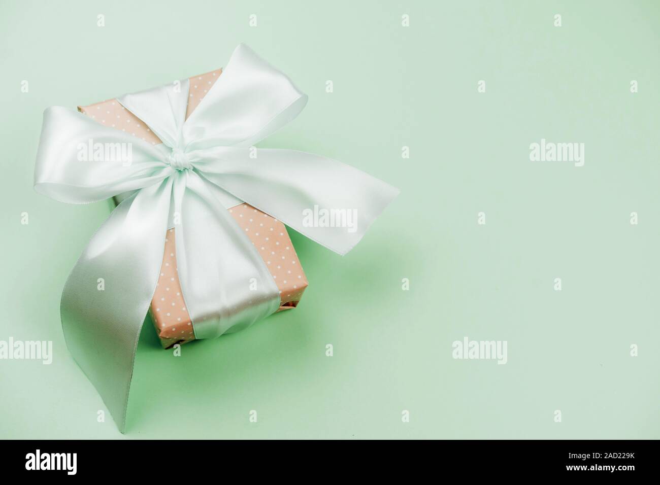 Shiny silk big bow on a gift box. Place for text Stock Photo