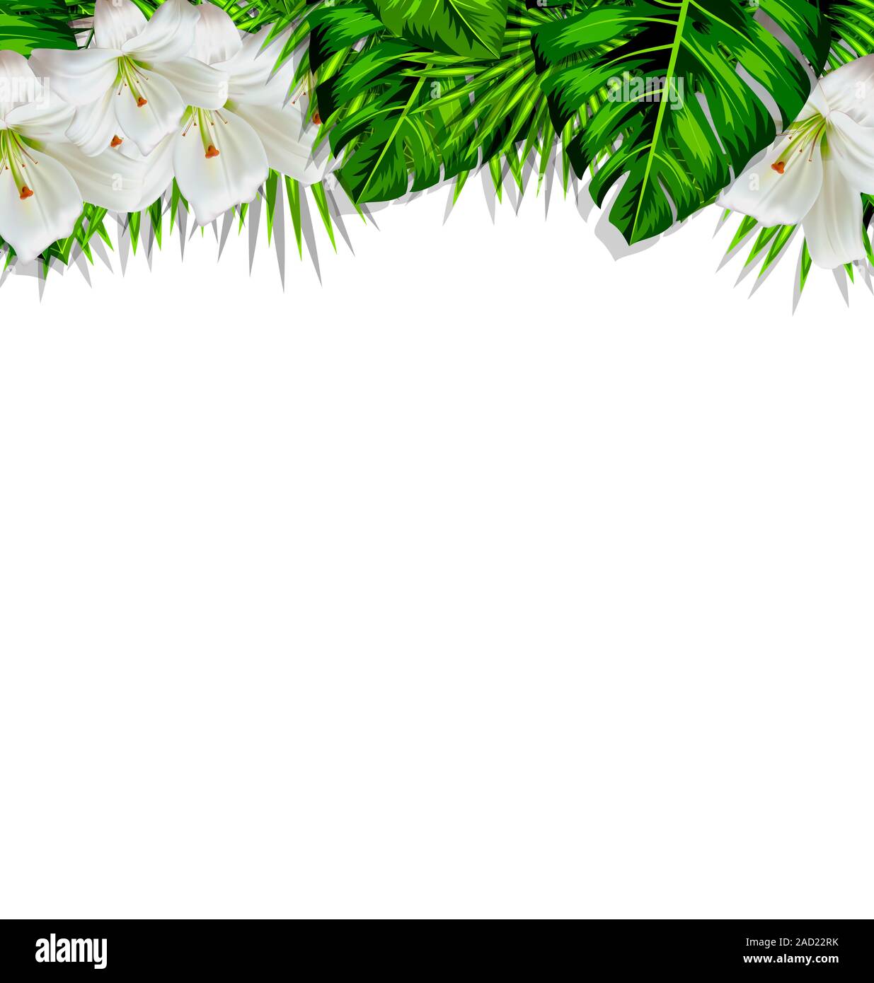 Frame branch tropical leaves and white flowers lily Stock Photo - Alamy