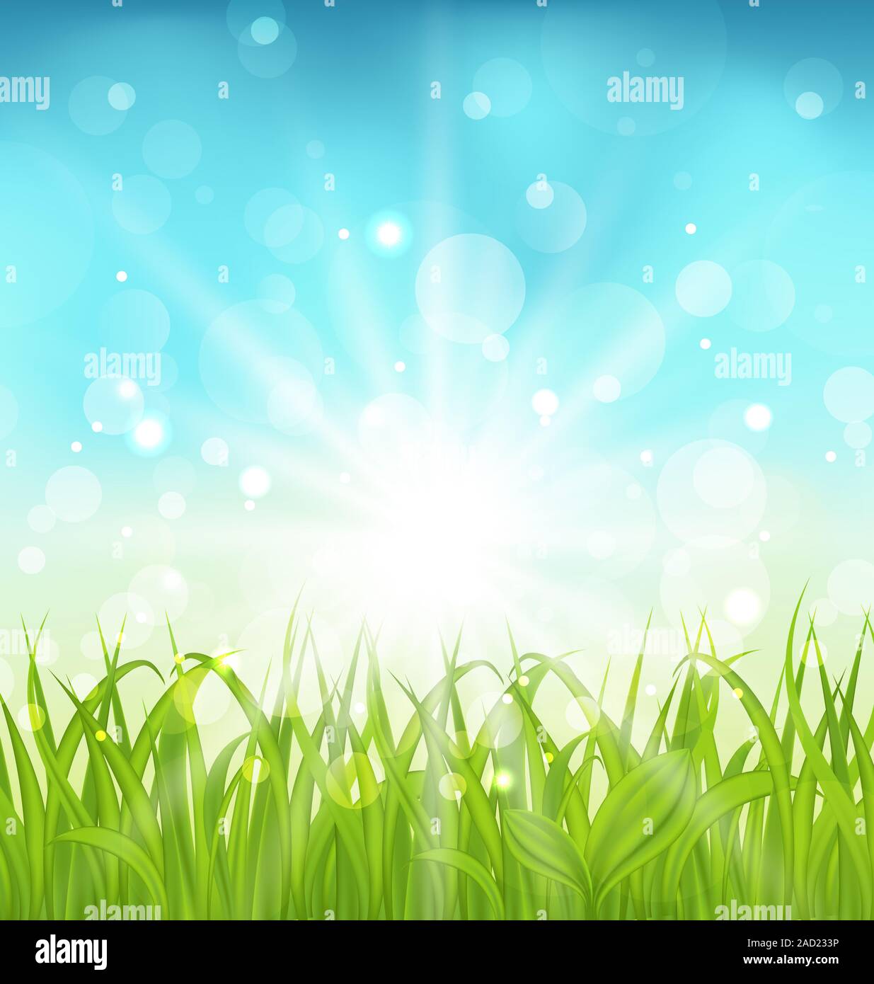 Spring nature background with grass Stock Photo - Alamy