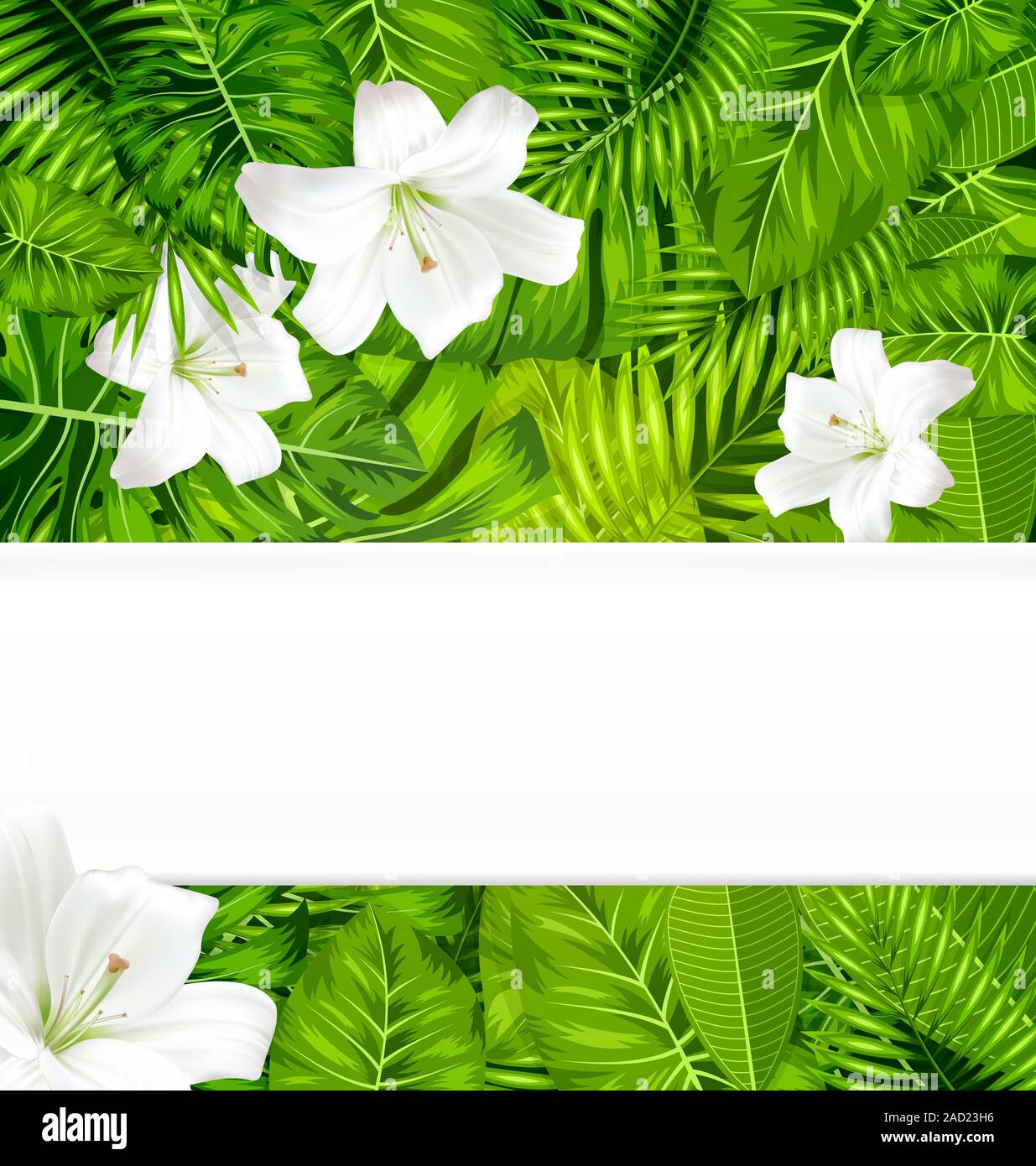 Frame branch tropical leaves and white flowers lily Stock Photo - Alamy