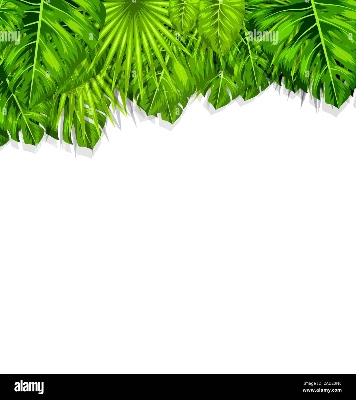 Natural Frame with Green Tropical Leaves Stock Photo - Alamy