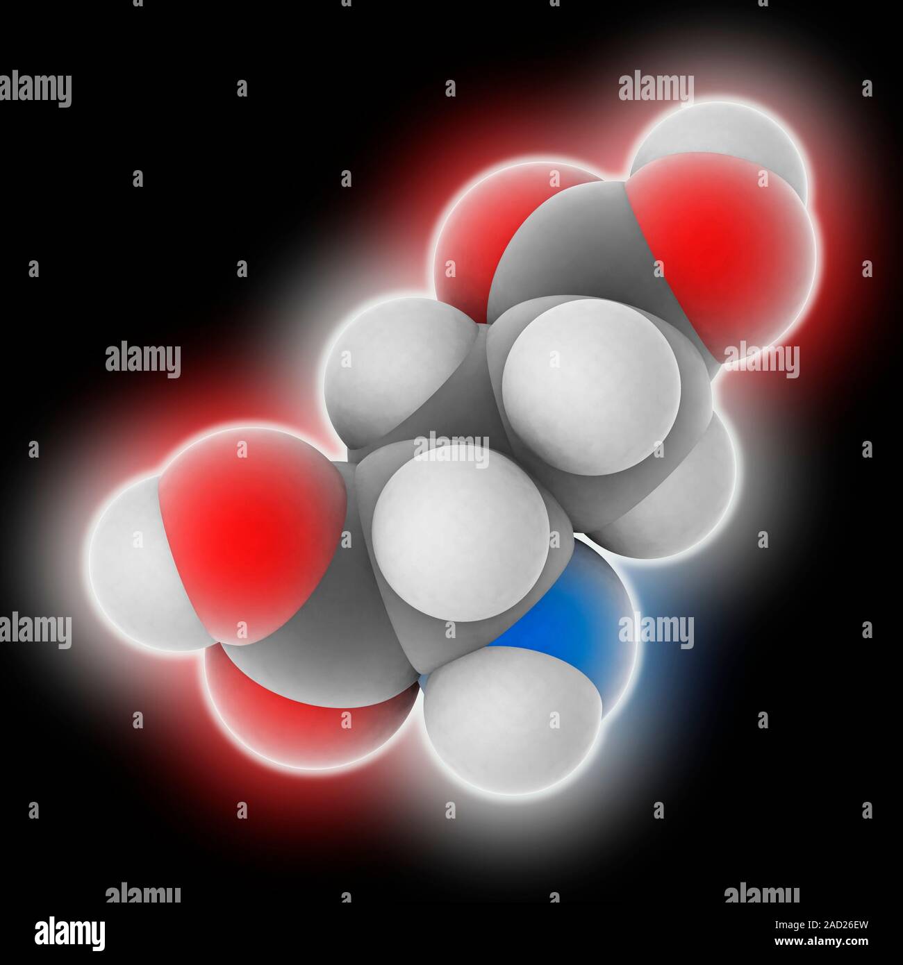 Glutamic acid. Molecular model of the nonessential amino acid glutamic