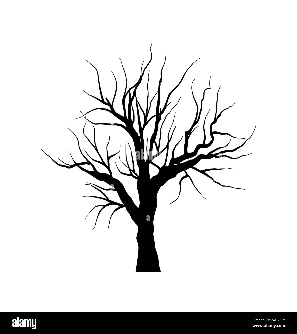Sketch of dead tree without leaves , isolated on white background Stock  Photo - Alamy
