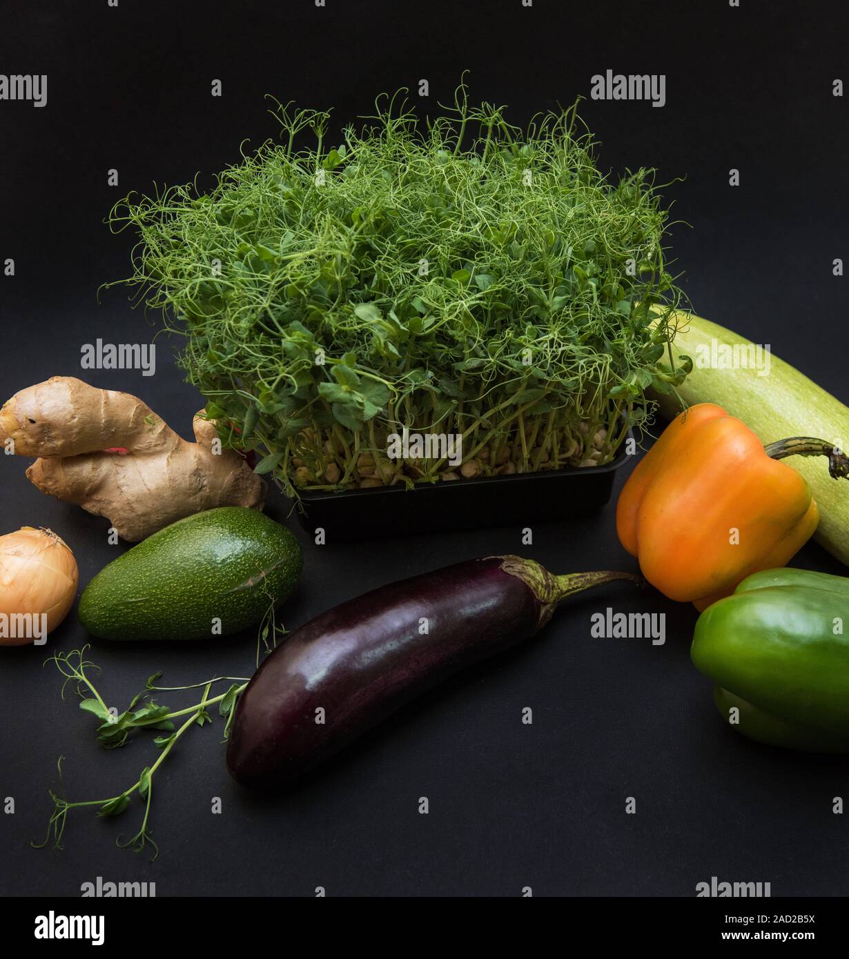 Micro greens sprouts Stock Photo