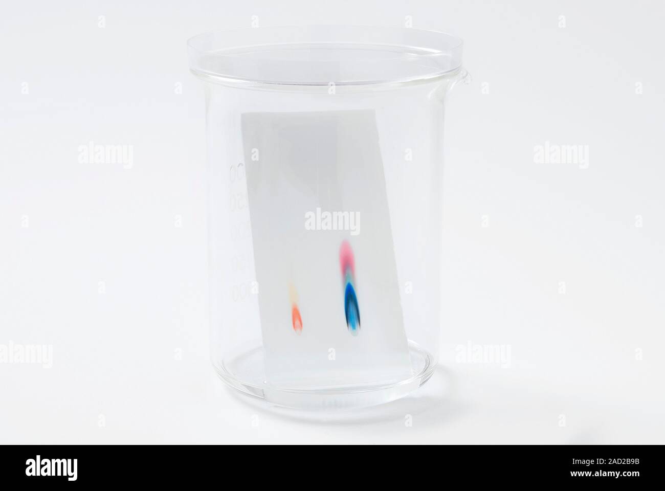Thinlayer chromatography (TLC) plate in a beaker, showing separated components (colours). TLC
