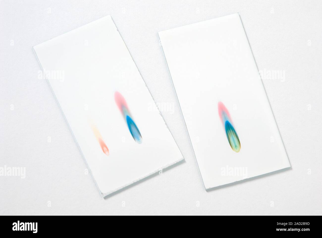 Thinlayer chromatography (TLC) plate, showing separated components (colours). TLC is a